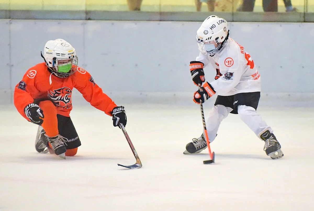 Gazebo Parts Direct Sales Store 9 Gazebo Parts Direct Sales Store -Hockey Equipment Sales 2024 3